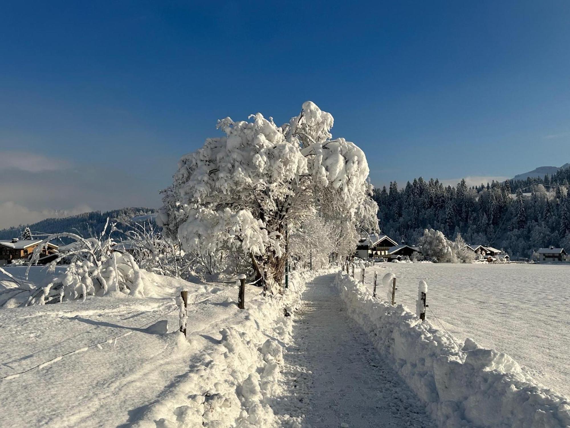 Pon-Apart Reith bei Kitzbühel Kültér fotó
